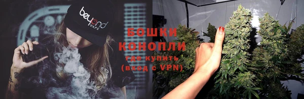 индика Осинники