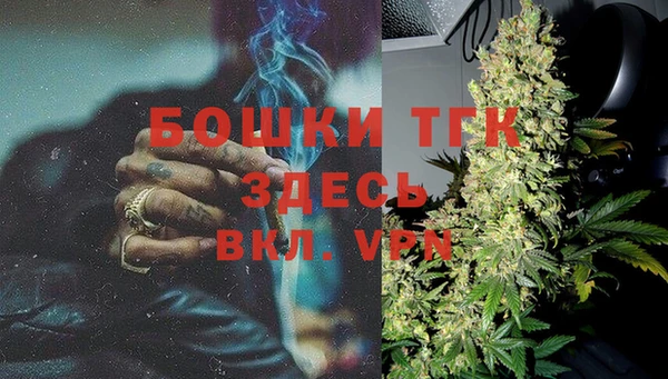 дживик Аркадак