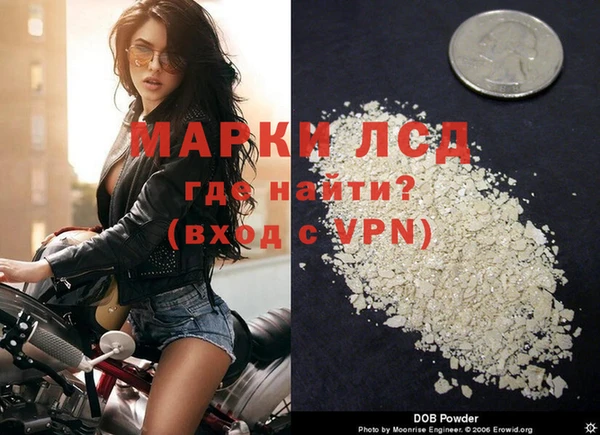 дживик Аркадак