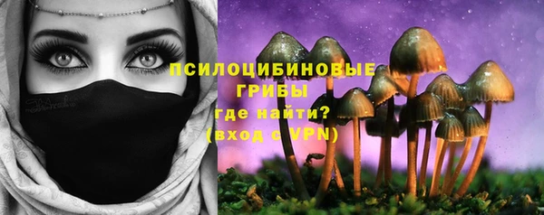 дживик Аркадак